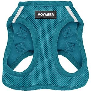 Best Pet Supplies Voyager Step-in Air Dog Harness, Turquoise with Matching Trim, Medium