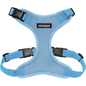 Best Pet Supplies Voyager Step-in Lock Dog Harness, Baby Blue with Matching Trim, Large
