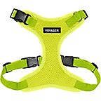 Lime Green with Matching Trim