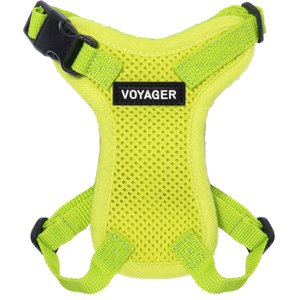 Best Pet Supplies Voyager Step-in Lock Dog Harness, Lime Green with Matching Trim, XX-Small