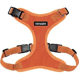 Best Pet Supplies Voyager Step-in Lock Dog Harness, Orange with Matching Trim, Small