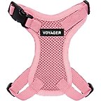 Pink with Matching Trim