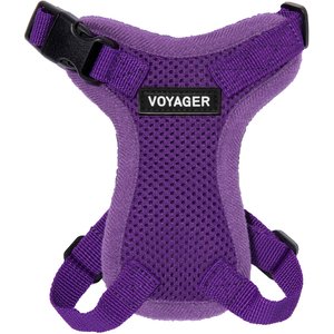 Best Pet Supplies Voyager Step-in Lock Dog Harness, Purple with Matching Trim, XX-Small