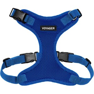 Best Pet Supplies Voyager Step-in Lock Dog Harness, Royal Blue with Matching Trim, Medium