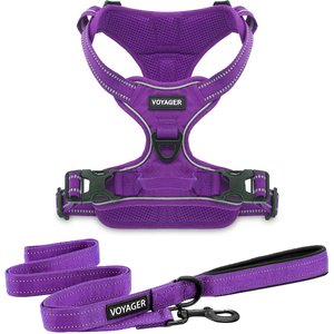 Best Pet Supplies Voyager Dual Attachment Outdoor Dog Harness & Leash Bundle, Purple, Large