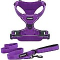 Best Pet Supplies Voyager Dual Attachment Outdoor Dog Harness & Leash Bundle, Purple, Medium