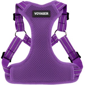 Best Pet Supplies Voyager Fully Adjustable Step-in Mesh Dog Harness, Purple, Large