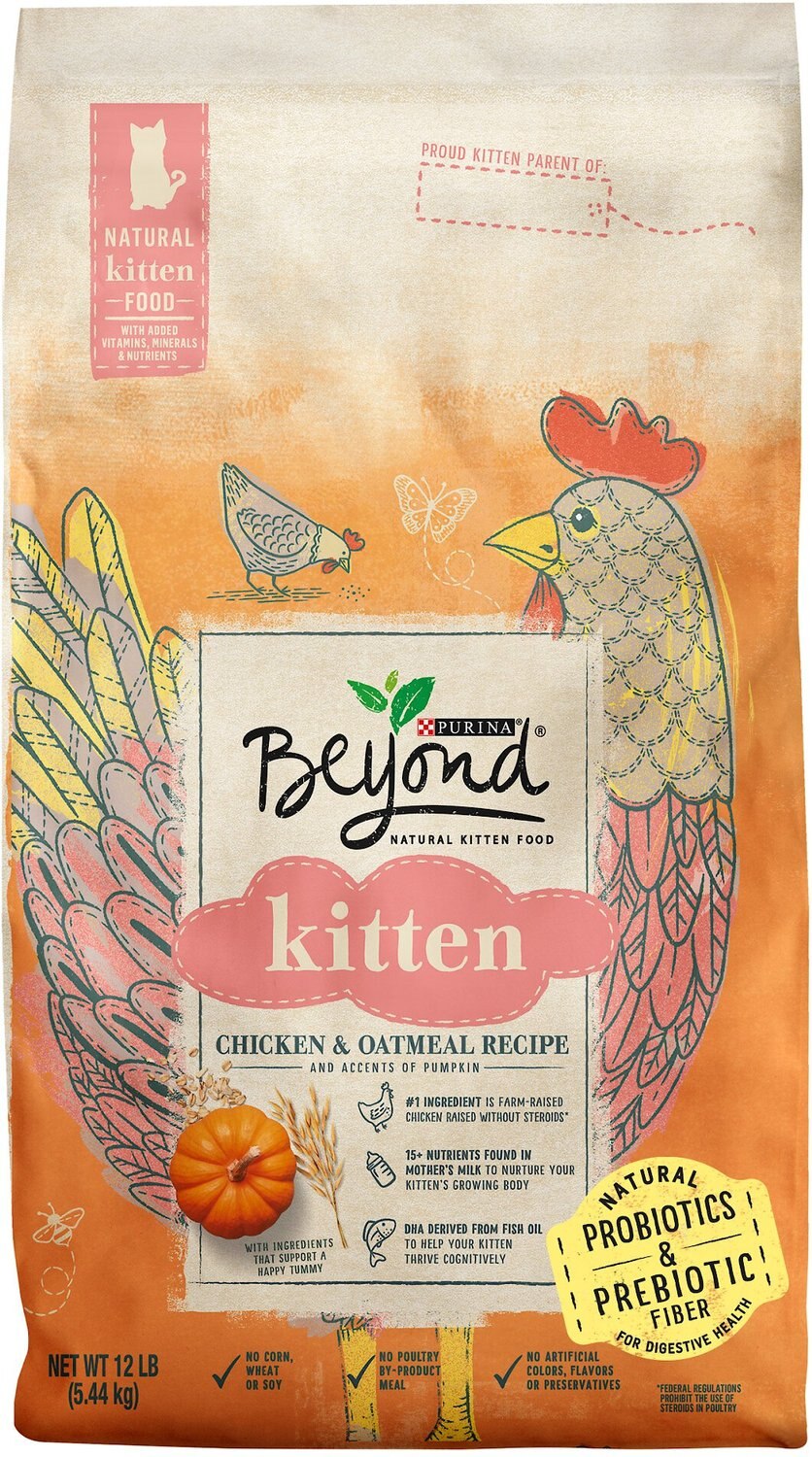 purina beyond kitten