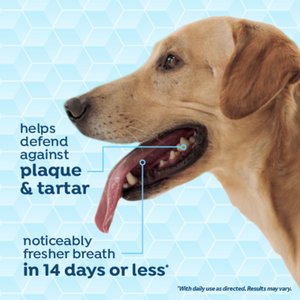 TropiClean Fresh Breath Dental Health Solution + Skin Health Support Dog Dental Water Additive, 16-oz bottle