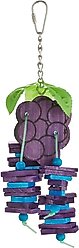 A&E Cage Company Grapes Bird Toy