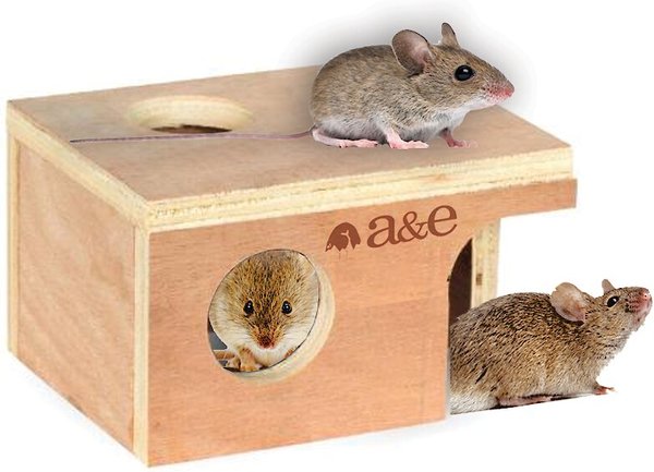 A&E Cage Company Small Mouse Hut slide 1 of 1