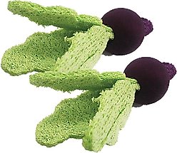A&E Cage Company Turnips Loofah Small Pet Toy