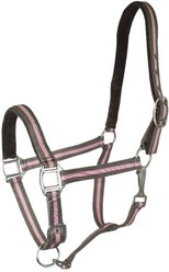 Gatsby 2-Tone Suede Padded Nylon Halter, Dark Grey/Pink, Grey Padding, Cob