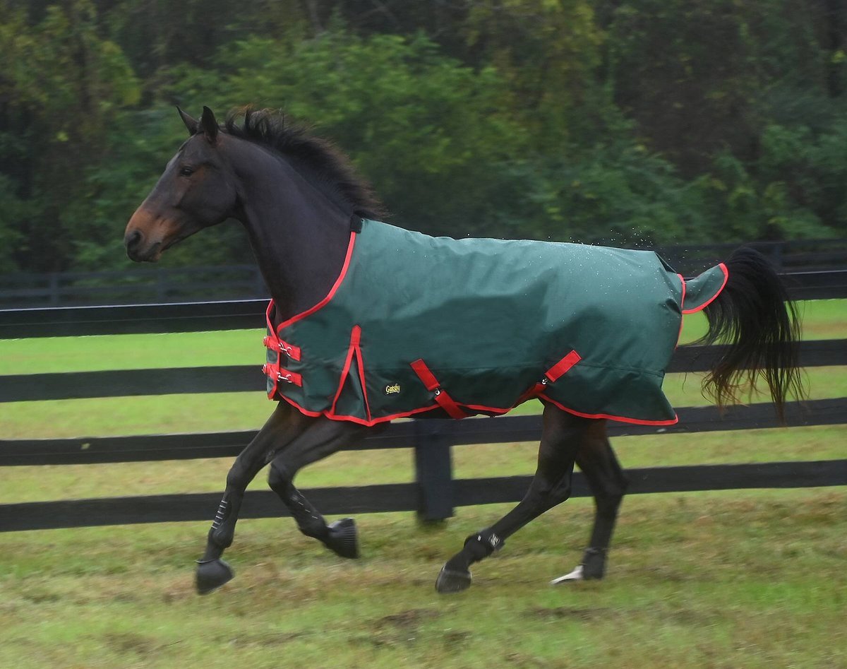 Premium Stable Blanket