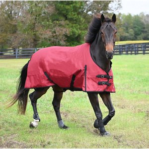 Gatsby Premium 1200D Waterproof Turnout Horse Sheet, Merlot, 75-in