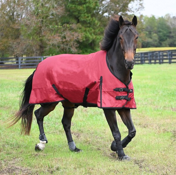 Gatsby Premium 1200D Waterproof Turnout Horse Sheet
