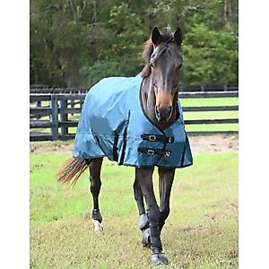 Gatsby Premium 1680D Heavyweight Waterproof Turnout Horse Blanket, Teal, 84-in