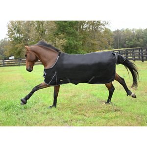 Gatsby Premium 1680D Waterproof Turnout Horse Sheet, Black, 69-in