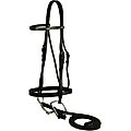 Gatsby Flat Snaffle Horse Bridle, Horse