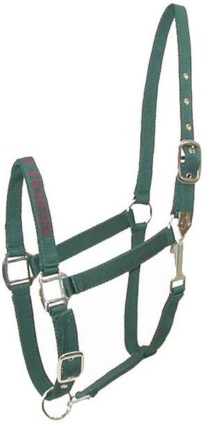 Gatsby I Love My Pony Nylon Horse Halter