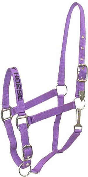 Gatsby I Love My Horse Nylon Horse Halter