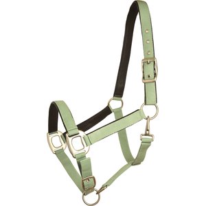 Gatsby Leather Padded Adjustable Nylon Horse Halter