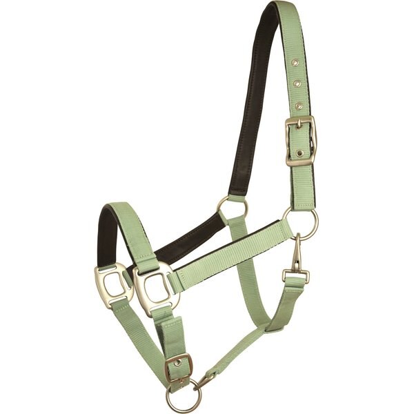 Gatsby Padded Leather Horse Halter