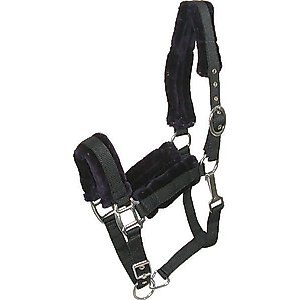Gatsby Nylon Removable Fleece Horse Halter, Black, Cob