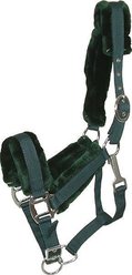 Gatsby Nylon Removable Fleece Horse Halter, Hunter, Cob