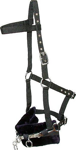 Gatsby Padded Lunging Horse Caveson slide 1 of 1