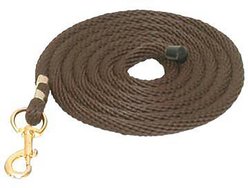 Gatsby Polypropylene Horse Lead & Snap, Brown, 10-ft