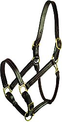 Gatsby Premium Adjustable Triple Stitched Horse Halter, Cob
