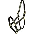 Gatsby Premium Adjustable Triple Stitched Horse Halter, Cob