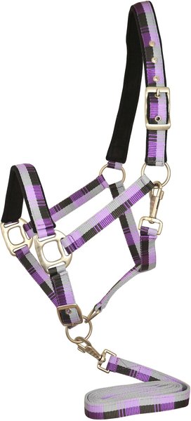 Gatsby Terra Fleece Padded Nylon Horse Halter & Matching Horse Lead, Lilac/Silver/DarkGrey/Purple, Cob slide 1 of 1