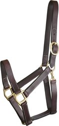 Gatsby Track Style Turnout Horse Halter & Snap, Horse