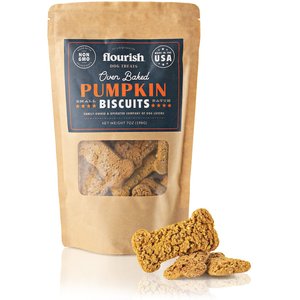 Flourish Pumpkin Biscuit Dog Treats, 7-oz bag