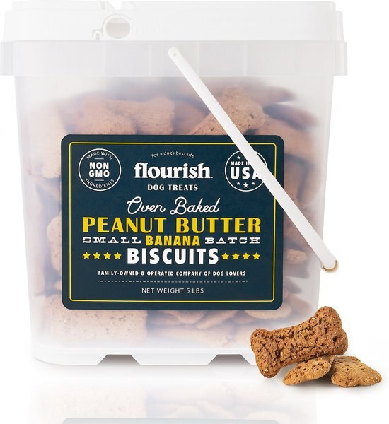 Flourish Blueberry Banana Biscuit Dog Treats