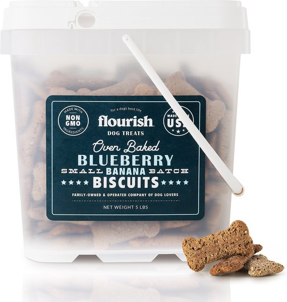 Flourish Blueberry Banana Biscuit Dog Treats, 5-lb bag slide 1 of 2