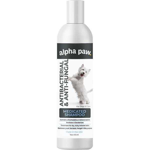 Best antifungal on sale shampoo for dogs