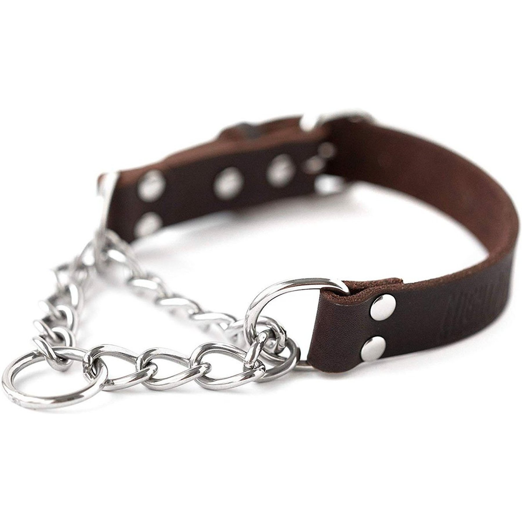 Max and neo dog on sale gear martingale chain dog collar