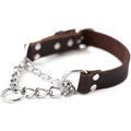 Mighty Paw Leather Martingale Dog Collar, Medium