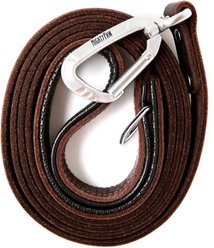 Mighty Paw Leather Dog Leash, 6-ft long