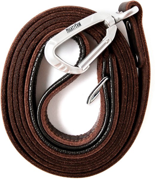 Mighty Paw Leather Dog Leash, 6-ft long slide 1 of 6