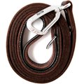 Mighty Paw Leather Dog Leash, 6-ft long