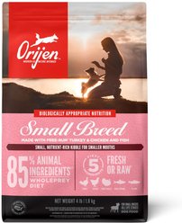 ORIJEN Small Breed Dry Food + Ranch-Raised Beef Formula Freeze-Dried Dog Treats slide 2 of 9