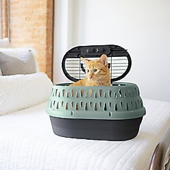Petmate Top Load Cat Kennel, Pearl Green Forest/Black