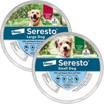 Seresto Dog & Cat Flea Collars (Free Shipping) | Chewy