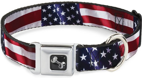 Buckle-Down American Flag Dog Collar, Wide-Medium slide 1 of 9
