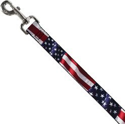 Buckle-Down American Flag Vivid Dog Leash slide 2 of 4