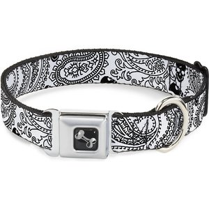 Buckle-Down Bandana Skulls Dog Collar, White, Medium